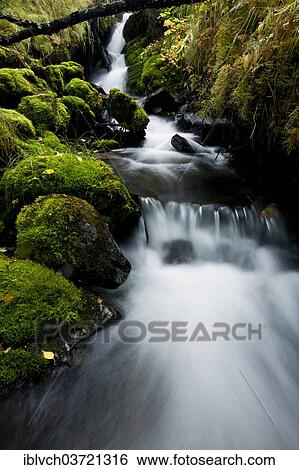 "Mossy creek, Alaska, USA" View Large Photo Image Stock Photograph - "Mossy creek, Alaska, USA". Fotosearch