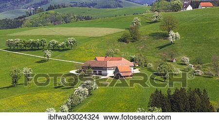 "Mostviertel, Must Quarter, with Vierkanter farmstead and flowering trees, Mostviertel, Seitenstetten, Lower Austria, Austria, Europe" View Large Photo Image Picture - "Mostviertel, Must Quarter, with Vierkanter farmstead and flowering trees, Mostviertel, Seitenstetten, Lower Austria, Austria, Europe". Fotosearch