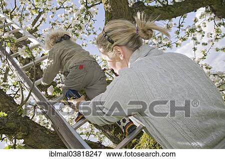 Stock Photo - "Mother helping her son, 3, up a ladder to a blossoming fruit tree". Fotosearch