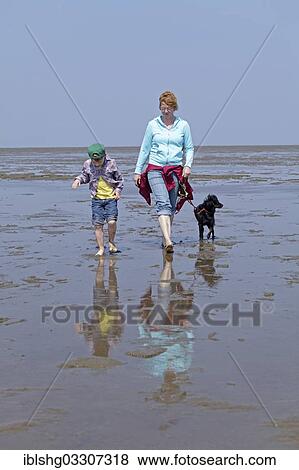 "Mother, son and dog walking in the Wadden Sea, Duhnen, Cuxhaven, Lower Saxony, Germany, Europe" View Large Photo Image Stock Photo - "Mother, son and dog walking in the Wadden Sea, Duhnen, Cuxhaven, Lower Saxony, Germany, Europe". Fotosearch
