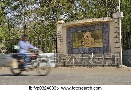 "Motorcycle in front of the image of a lion, Asiatic Lion, outside the headquarters of the Forestry Commission, Gir Forest National Park, Gir Sanctuary, Sasan Gir, Gujarat, India, Asia" View Large Photo Image Stock Photography - "Motorcycle in front of the image of a lion, Asiatic Lion, outside the headquarters of the Forestry Commission, Gir Forest National Park, Gir Sanctuary, Sasan Gir, Gujarat, India, Asia". Fotosearch