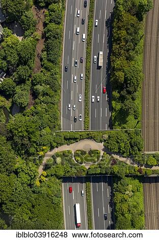 "Motorway bridge, landscaped bridge on the A3, Duisburg Zoo, aerial view, Duisburg, Ruhr district, North Rhine-Westphalia, Germany, Europe" View Large Photo Image Stock Photo - "Motorway bridge, landscaped bridge on the A3, Duisburg Zoo, aerial view, Duisburg, Ruhr district, North Rhine-Westphalia, Germany, Europe". Fotosearch