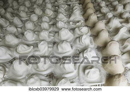 "Moulded blank Panama hats are left to dry out, Homero Ortega Panama hat factory, Cuenca, Azuay Province, Ecuador, South America" View Large Photo Image Stock Photo - "Moulded blank Panama hats are left to dry out, Homero Ortega Panama hat factory, Cuenca, Azuay Province, Ecuador, South America". Fotosearch