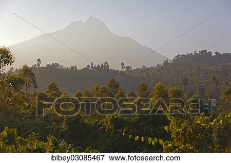 "Mount Mikeno, volcano in the early morning, Goma, Nord-Kivu, Congo, Democratic Republic of the Congo, Africa" View Large Photo Image Stock Photo - "Mount Mikeno, volcano in the early morning, Goma, Nord-Kivu, Congo, Democratic Republic of the Congo, Africa". Fotosearch