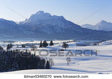 "Mount Sauling or Mount Saulingspitze with Forggensee Lake, Ussenburg, Rosshaupten, Ostallgau, Allgau, Schwabia, Bavaria, Germany, Europe" View Large Photo Image Stock Image - "Mount Sauling or Mount Saulingspitze with Forggensee Lake, Ussenburg, Rosshaupten, Ostallgau, Allgau, Schwabia, Bavaria, Germany, Europe". Fotosearch