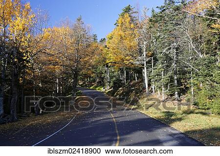 Mount Washington Auto Road in autumn, New Hampshire, USA View Large Photo Image Stock Image - Mount Washington Auto Road in autumn, New Hampshire, USA. Fotosearch