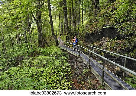 Stock Image - "Mountain biker near Hinterstein, Allgau, Bavaria, Germany, Europe". Fotosearch