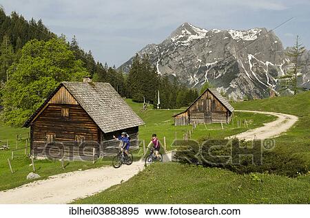 "Mountain biker on a mountain pasture, Gesause region, Styria, Austria, Europe" View Large Photo Image Stock Photography - "Mountain biker on a mountain pasture, Gesause region, Styria, Austria, Europe". Fotosearch