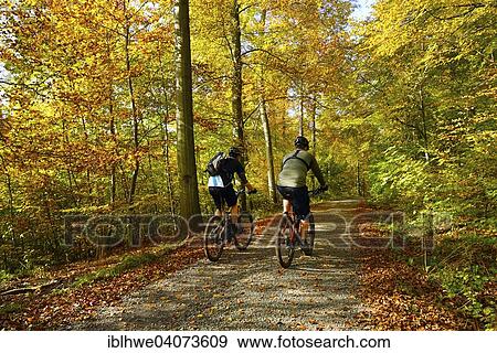 "Mountain bikers riding through autumn forest, Asse, Remlingen, Lower Saxony, Germany, Europe" View Large Photo Image Stock Photo - "Mountain bikers riding through autumn forest, Asse, Remlingen, Lower Saxony, Germany, Europe". Fotosearch