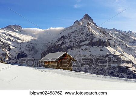 Stock Image - "Mountain chalet in winter in front of Wetterhorn mountain, Grindelwald, Swiss Alps, Switzerland, Europe". Fotosearch
