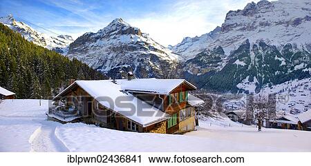 "Mountain chalet in winter looking towards the Jungfrau mountain, Grindelwald, Swiss Alps, Switzerland, Europe" View Large Photo Image Stock Image - "Mountain chalet in winter looking towards the Jungfrau mountain, Grindelwald, Swiss Alps, Switzerland, Europe". Fotosearch