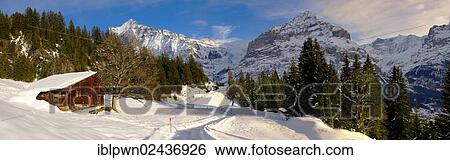 Stock Photograph - "Mountain chalet in winter looking towards Wetterhorn mountain, Grindelwald, Swiss Alps, Switzerland, Europe". Fotosearch