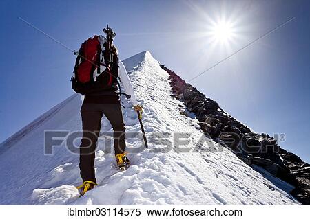 "Mountain climber ascending Hochfeiler Mountain along the summit ridge, Pfitschtal, South Tyrol province, Trentino-Alto Adige, Italy, Europe" View Large Photo Image Stock Photography - "Mountain climber ascending Hochfeiler Mountain along the summit ridge, Pfitschtal, South Tyrol province, Trentino-Alto Adige, Italy, Europe". Fotosearch