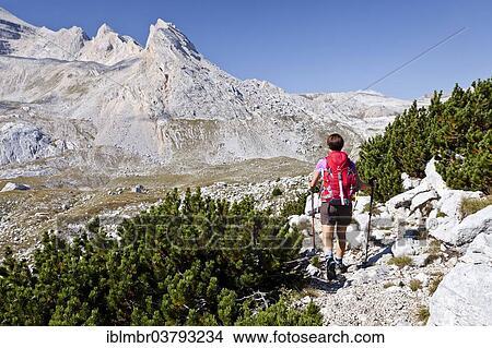 Picture - "Mountain climber ascending Piz de Lavarela Mountain in the Fanes Group in Fanes-Sennes-Prags Nature Park, with Lavarella Saddle at the rear, Val Badia, Dolomites, Alto Adige, Italy, Europe". Fotosearch