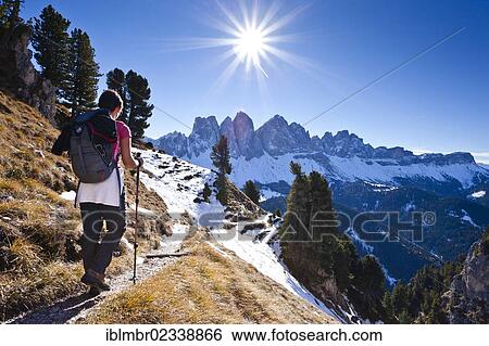 "Mountain climber on Herrnsteig climbing route, Kofelwiesen in the Villnoess Valley, looking towards the Odle Mountain Group, Alto Adige, Italy, Europe" View Large Photo Image Stock Photograph - "Mountain climber on Herrnsteig climbing route, Kofelwiesen in the Villnoess Valley, looking towards the Odle Mountain Group, Alto Adige, Italy, Europe". Fotosearch