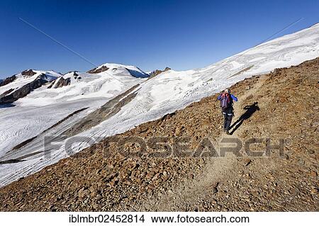 "Mountain climber on the summit ridge of Zufallspitz Moiuntain, looking towards Monte Vioz, Alto Adige, Italy, Europe" View Large Photo Image Picture - "Mountain climber on the summit ridge of Zufallspitz Moiuntain, looking towards Monte Vioz, Alto Adige, Italy, Europe". Fotosearch