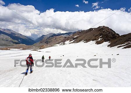 Stock Photograph - "Mountain climbers on Zufallferner Glacier in the Martell Valley above Marteller Huette hut, during the descent to Marteller Huette hut, joined together with a rope for safety, Alto Adige, Italy, Europe". Fotosearch