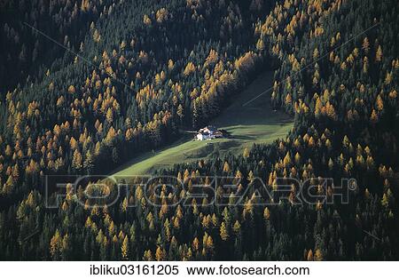 "Mountain farm, Alta Badia, South Tyrol province, Trentino-Alto Adige, Italy, Europe" View Large Photo Image Stock Photography - "Mountain farm, Alta Badia, South Tyrol province, Trentino-Alto Adige, Italy, Europe". Fotosearch