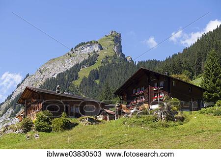 "Mountain farms, Lauterbrunnen Valley, World Natural Heritage site of Jungfrau-Aletsch-Bietschhorn, Gimmelwald, Bernese Oberland, Canton of Bern, Switzerland, Europe" View Large Photo Image Stock Image - "Mountain farms, Lauterbrunnen Valley, World Natural Heritage site of Jungfrau-Aletsch-Bietschhorn, Gimmelwald, Bernese Oberland, Canton of Bern, Switzerland, Europe". Fotosearch