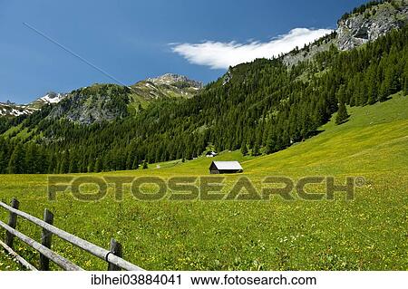 "Mountain hut, alpine meadow, pasture, in summer, Riedingtal, Austria, Europe" View Large Photo Image Stock Image - "Mountain hut, alpine meadow, pasture, in summer, Riedingtal, Austria, Europe". Fotosearch