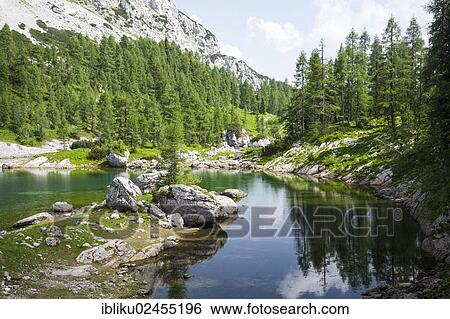 Stock Photograph - "Mountain lake at Koca pri Triglavskih jezerih, Seven Lakes hut in Seven Lakes Valley, Triglav National Park, Slovenia, Europe". Fotosearch