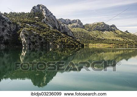 "Mountain lake, Embalse de Gorg Blau, Tramuntana, Majorca, Balearic Islands, Spain, Europe" View Large Photo Image Stock Photo - "Mountain lake, Embalse de Gorg Blau, Tramuntana, Majorca, Balearic Islands, Spain, Europe". Fotosearch