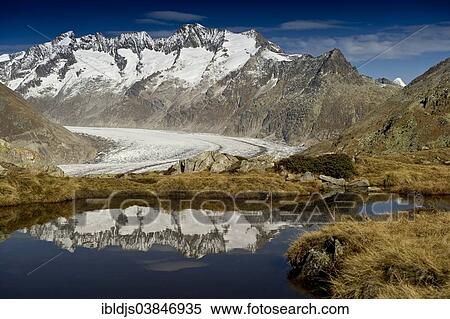 "Mountain lake on Bettmerhorn Mountain, in front of the peaks of the Bernese Oberland and the Aletsch Glacier, UNESCO World Natural Heritage Site, Bettmeralp, Canton of Valais, Switzerland, Europe" View Large Photo Image Stock Photography - "Mountain lake on Bettmerhorn Mountain, in front of the peaks of the Bernese Oberland and the Aletsch Glacier, UNESCO World Natural Heritage Site, Bettmeralp, Canton of Valais, Switzerland, Europe". Fotosearch