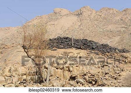 "Mountain landscape along a trail to the White Lady rock painting in the Tsisab Gorge, Brandberg, Damaraland, Namibia, Africa" View Large Photo Image Stock Photo - "Mountain landscape along a trail to the White Lady rock painting in the Tsisab Gorge, Brandberg, Damaraland, Namibia, Africa". Fotosearch