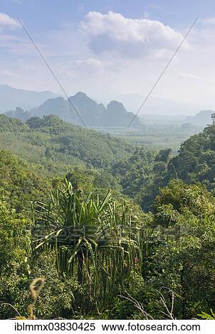 "Mountain landscape, Khlong Sok National Park, Ban Khao Ba, Phang Nga, Surat Thani Province, Thailand, Asia" View Large Photo Image Stock Photography - "Mountain landscape, Khlong Sok National Park, Ban Khao Ba, Phang Nga, Surat Thani Province, Thailand, Asia". Fotosearch