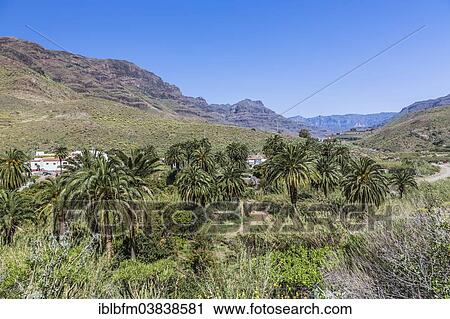 "Mountain landscape near Arteara, Gran Canaria, Canary Islands, Spain, Europe" View Large Photo Image Stock Image - "Mountain landscape near Arteara, Gran Canaria, Canary Islands, Spain, Europe". Fotosearch