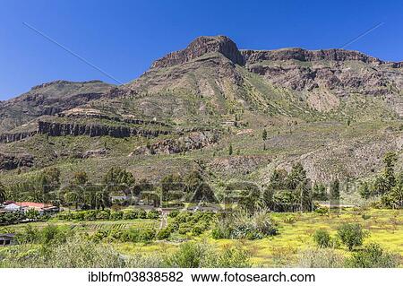 "Mountain landscape near Arteara, Gran Canaria, Canary Islands, Spain, Europe" View Large Photo Image Stock Image - "Mountain landscape near Arteara, Gran Canaria, Canary Islands, Spain, Europe". Fotosearch
