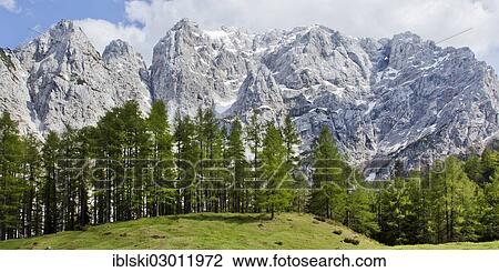 Stock Image - "Mountain landscape near the Vrsic Pass with the 2547m high Prisojnik Mountain, Triglav National Park, Julian Alps, near Bovec, Slovenia, Europe". Fotosearch