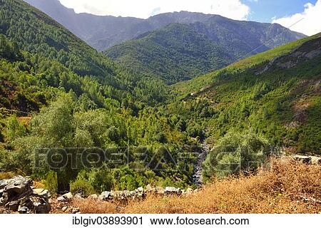 "Mountain landscape on the upper reaches of the Fango River, Fango Valley, Corsica, France, Europe" View Large Photo Image Stock Image - "Mountain landscape on the upper reaches of the Fango River, Fango Valley, Corsica, France, Europe". Fotosearch