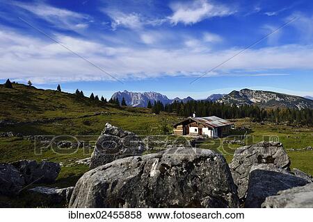 Stock Photo - "Mountain pastures at Eggenalm, Reit im Winkl, Chiemgau region, Upper Bavaria, Bavaria, Germany, Europe". Fotosearch