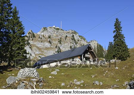 "Mountain pastures in the Wendelstein range, Wendelstein near Bayrischzell, Mangfall Mountains, Upper Bavaria, Bavaria, Germany, Europe, PublicGround, Europe" View Large Photo Image Stock Image - "Mountain pastures in the Wendelstein range, Wendelstein near Bayrischzell, Mangfall Mountains, Upper Bavaria, Bavaria, Germany, Europe, PublicGround, Europe". Fotosearch