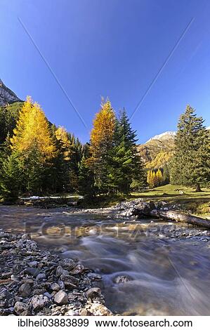 Stock Photo - "Mountain stream, autumnal coloured trees, Lungau, Riedingtal, Austria, Europe". Fotosearch