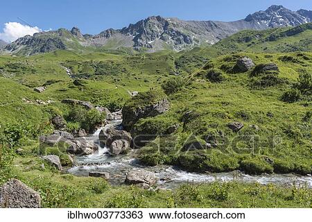 "Mountain stream flowing through meadows, Canton Beaufort, Rhone-Alpes, France, Europe" View Large Photo Image Stock Image - "Mountain stream flowing through meadows, Canton Beaufort, Rhone-Alpes, France, Europe". Fotosearch