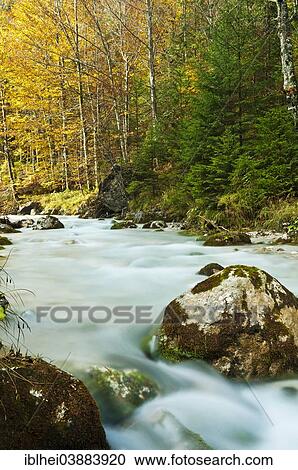 "Mountain stream in autumn, Almtal Valley, Salzkammergut, Upper Austria, Austria, Europe" View Large Photo Image Stock Image - "Mountain stream in autumn, Almtal Valley, Salzkammergut, Upper Austria, Austria, Europe". Fotosearch