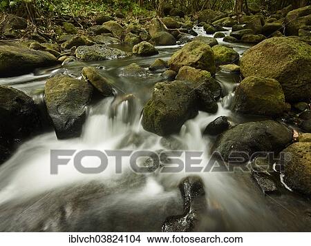 "Mountain stream in Ha'ena State Park, Hawaii State Parks, Kaua'i, Hawaii, USA" View Large Photo Image Picture - "Mountain stream in Ha'ena State Park, Hawaii State Parks, Kaua'i, Hawaii, USA". Fotosearch