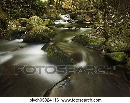 "Mountain stream in Ha'ena State Park, Hawaii State Parks, Kaua'i, Hawaii, USA" View Large Photo Image Stock Photograph - "Mountain stream in Ha'ena State Park, Hawaii State Parks, Kaua'i, Hawaii, USA". Fotosearch