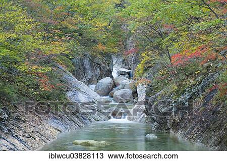 "Mountain stream in Seoraksan National Park, with autumn foliage, Solcho, South Korea, Asia" View Large Photo Image Stock Image - "Mountain stream in Seoraksan National Park, with autumn foliage, Solcho, South Korea, Asia". Fotosearch