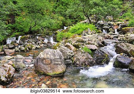 "Mountain stream in the Three Sisters, Glen Coe, Ross Skye and Lochaber, Scottish Highlands, Scotland, United Kingdom, Europe" View Large Photo Image Picture - "Mountain stream in the Three Sisters, Glen Coe, Ross Skye and Lochaber, Scottish Highlands, Scotland, United Kingdom, Europe". Fotosearch