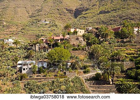 "Mountain village, Masca, Tenerife, Canary Islands, Spain, Europe" View Large Photo Image Stock Photo - "Mountain village, Masca, Tenerife, Canary Islands, Spain, Europe". Fotosearch