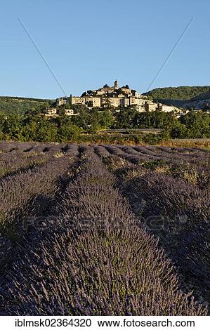 "Mountain village of Banon with lavender fields, Forcalquier, Provence region, Departement Alpes-de-Haute-Provence, France, Europe" View Large Photo Image Stock Image - "Mountain village of Banon with lavender fields, Forcalquier, Provence region, Departement Alpes-de-Haute-Provence, France, Europe". Fotosearch