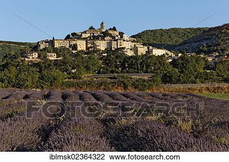 Stock Image - "Mountain village of Banon with lavender fields, Forcalquier, Provence region, Departement Alpes-de-Haute-Provence, France, Europe". Fotosearch