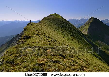 Stock Image - "Mountaineer on the grassy summit ridge of Grosser Krottenkopf Mountain, Allgauer Alpen, Tyrol, Austria, Europe". Fotosearch