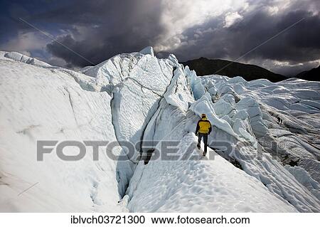 "Mountaineer standing in front of crevasses on Matanuska Glacier, Matanuska Glacier, Alaska, United States, North America" View Large Photo Image Stock Image - "Mountaineer standing in front of crevasses on Matanuska Glacier, Matanuska Glacier, Alaska, United States, North America". Fotosearch