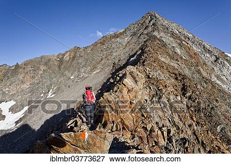 "Mountaineers during the ascent to the summit of Mt Wilder Pfaff, South Tyrol, Trentino-Alto Adige, Italy, Europe" View Large Photo Image Stock Photo - "Mountaineers during the ascent to the summit of Mt Wilder Pfaff, South Tyrol, Trentino-Alto Adige, Italy, Europe". Fotosearch