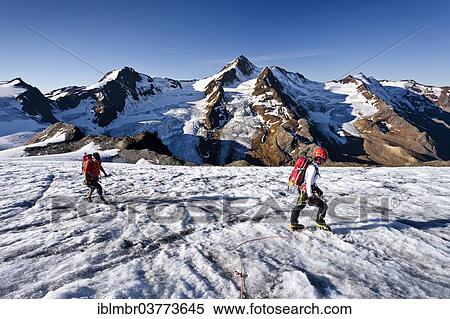 Stock Photography - "Mountaineers on the Gepatschferner Glacier, Mt Weisskugel at back, South Tyrol, Trentino-Alto Adige, Italy, Europe". Fotosearch