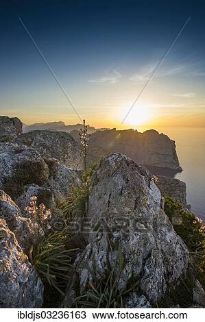 "Mountains and sea, sunset, Cap Formentor, Pollenca, Majorca, Balearic Islands, Spain, Europe" View Large Photo Image Stock Image - "Mountains and sea, sunset, Cap Formentor, Pollenca, Majorca, Balearic Islands, Spain, Europe". Fotosearch